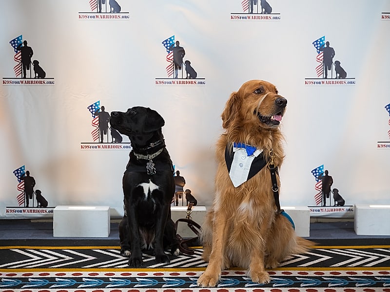 Red carpet arrivals photographed by DC Events Inc.